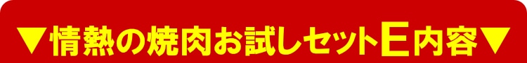 情熱のお試しセットE