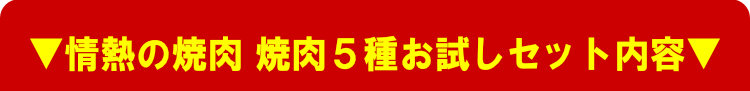 焼肉5種お試しセット