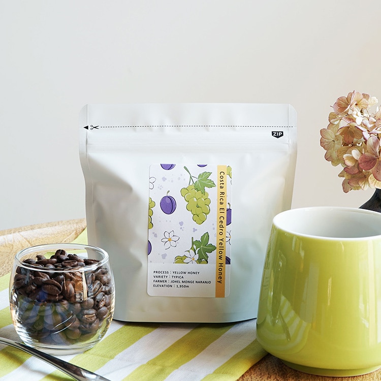 スペシャルティコーヒー豆「コスタリカ エル・セドロ農園」100g