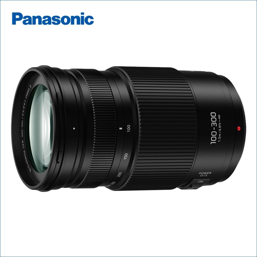 パナソニック(Panasonic)LUMIX G VARIO 100-300mm/F4.0-5.6 II/POWER O.I.S. H-FSA100300