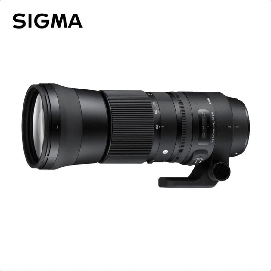 シグマ(Sigma) 150-600mm F5-6.3 DG OS HSM | Contemporary(コンテンポラリー) キヤノンEFマウント用
