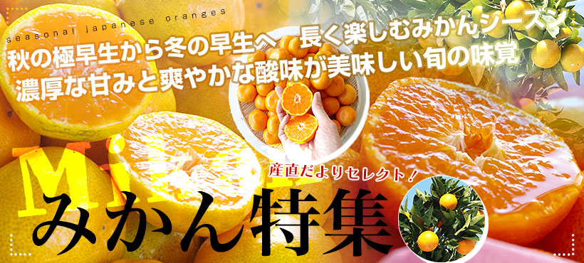 みかん