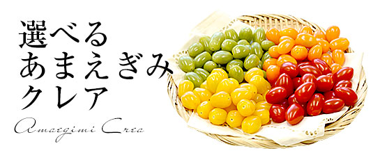 あまえぎみクレアミニトマト