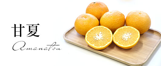 甘夏