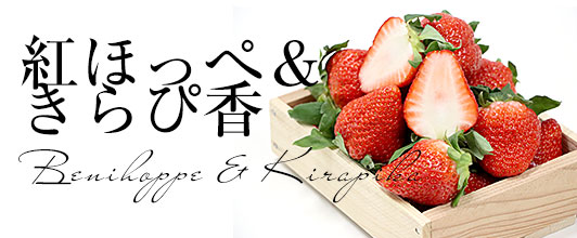 紅ほっぺ&きらぴ香