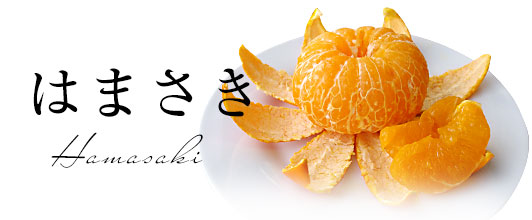 はまさき