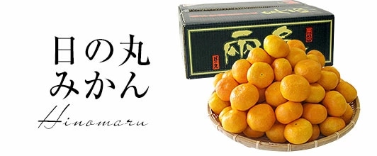 日の丸みかん
