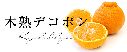 木熟デコポン