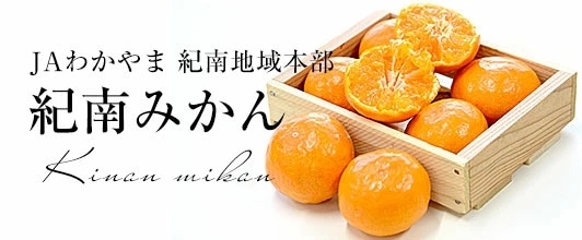紀南みかん