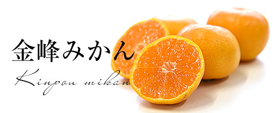 金峰みかん