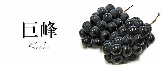 巨峰