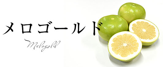 メロゴールド