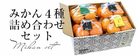 4大産地みかん