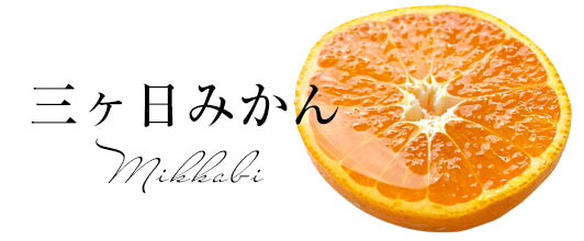 三ケ日みかん