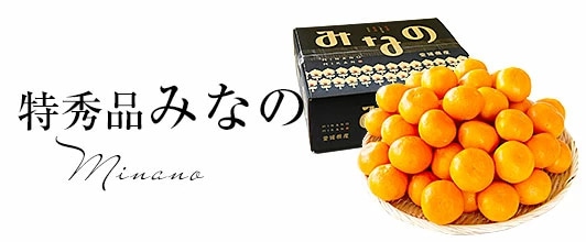みなのみかん