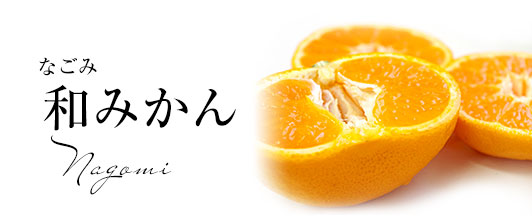 和みかん