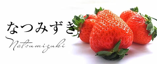 夏瑞