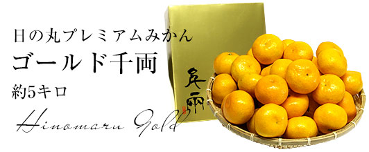 日の丸みかんゴールド