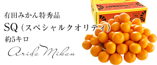 有田みかんSQ