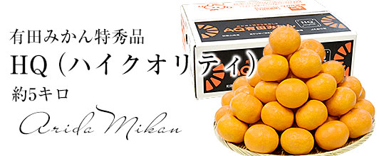 有田みかんHQ