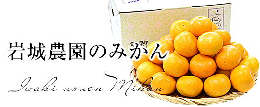 岩城農園のみかん