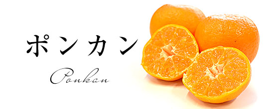 ポンカン