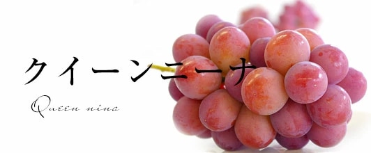 クイーンニーナ