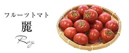 豊橋トマト麗