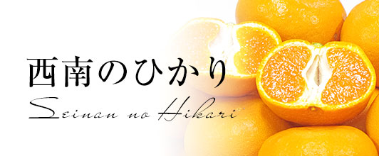西南のひかり