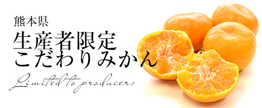 熊本県 生産者限定こだわりみかん