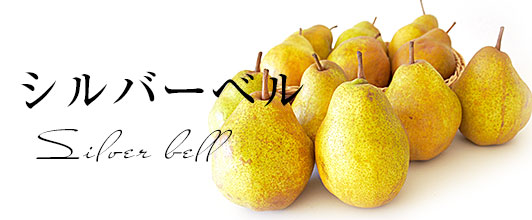 シルバーベル