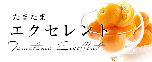 たまたまエクセレント