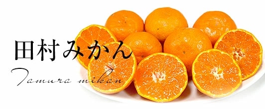 田村みかん
