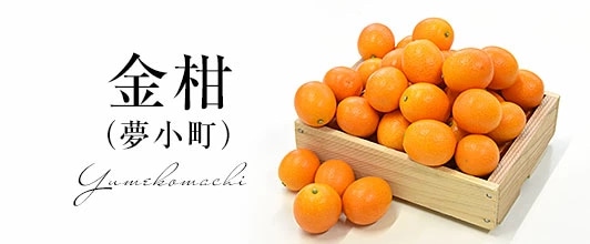 夢小町きんかん