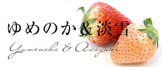 ゆめのか&淡雪