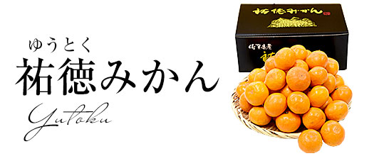 祐徳みかん