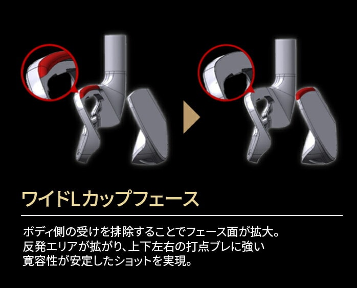 訳あり品】 本間ゴルフ TOUR WORLD Vx アイアンセット 7本 5I～AW NS