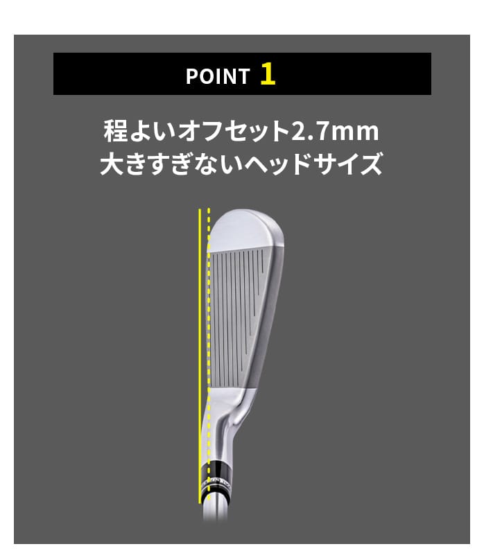 ロイヤルコレクション TM－X アイアンセット6本セット #5～9 PW