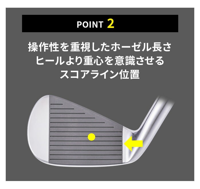 ロイヤルコレクション TM－X アイアンセット6本セット #5～9 PW