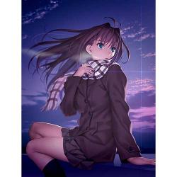 【新品/在庫あり】[ニンテンドースイッチ ソフト] 魔法使いの夜 通常版 [HACP-14504]