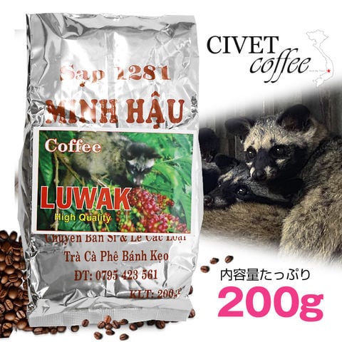 ジャコウネココーヒー コピ・ルアク 200g×1個 ブレンドコーヒー アラビカ種 コーヒー 豆 珈琲 希少 ベトナム産 中煎り レギュラーコーヒー 焙煎 ロースト【coffee-6】 トラベルソムリエ