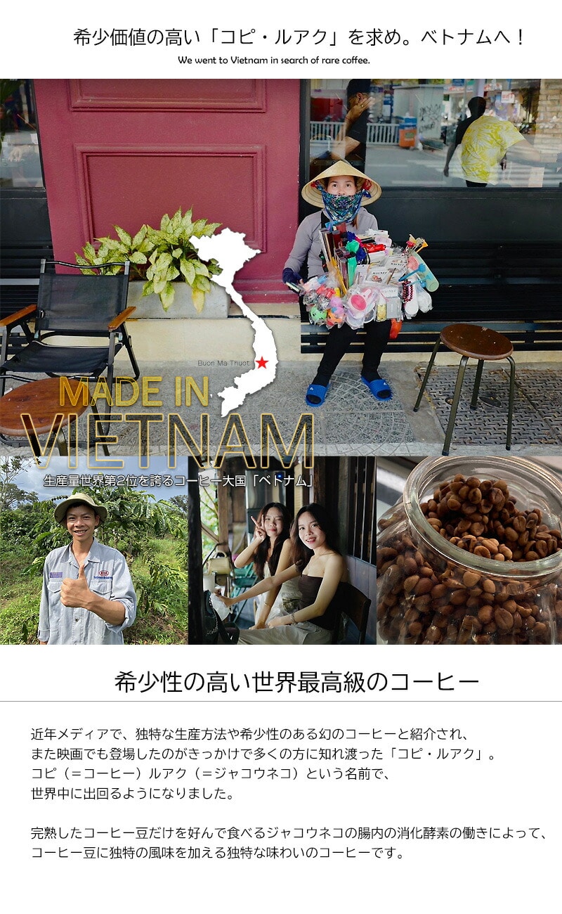 ジャコウネココーヒー シベットコーヒー ブレンドコーヒー アラビカ ロブスタ コーヒー 粉 珈琲 希少 ベトナム産 深煎り 中煎り 浅煎り レギュラーコーヒー 焙煎 【coffee-6】