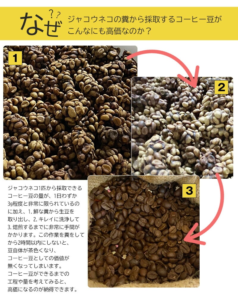 ジャコウネココーヒー シベットコーヒー ブレンドコーヒー アラビカ ロブスタ コーヒー 粉 珈琲 希少 ベトナム産 深煎り 中煎り 浅煎り レギュラーコーヒー 焙煎 【coffee-6】