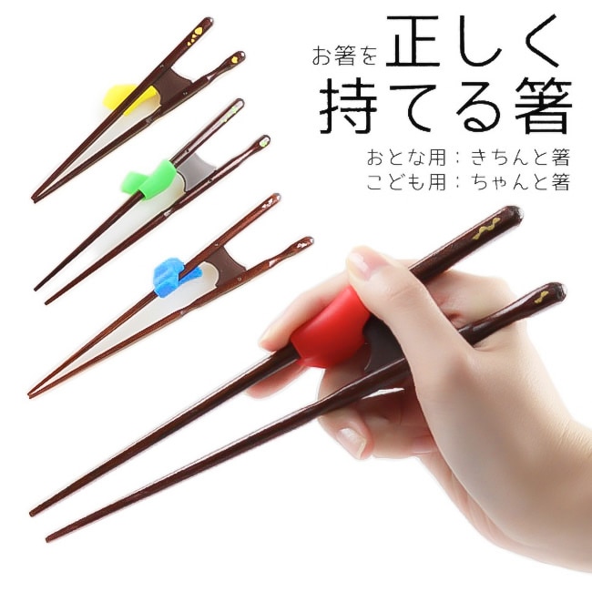 日本製 イシダ 矯正箸 ちゃんと箸 きちんと箸 子供用 大人用 右利き 左利き 16.5cm 18cm 21cm 23cm 支持箸 持ち方 お箸 若狭塗 国産 若狭塗箸