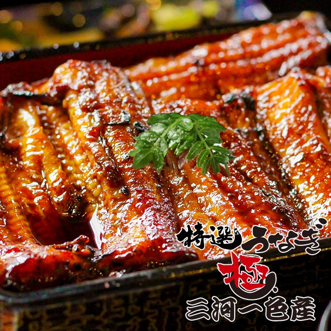 国産 特選うなぎ蒲焼セット 極 640g 三河一色産（80g×8、たれ＆山椒×8） / 鰻 冷凍うなぎ 冷凍鰻 ギフト 贈答品 冷凍食品 愛知県産 国産 土用 丑の日[am]