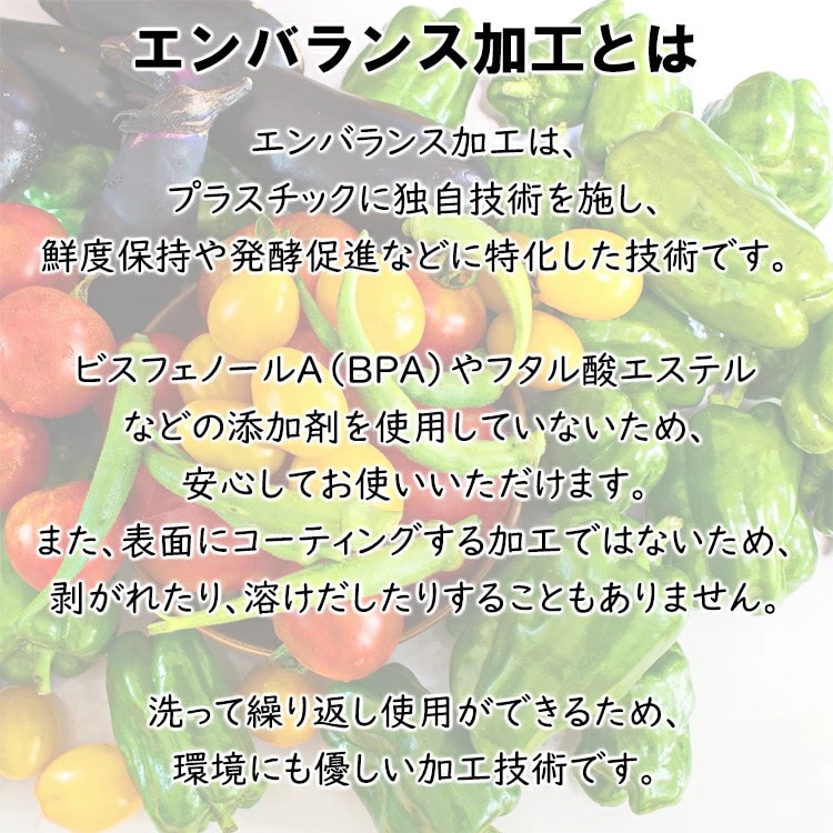 エンバランス フードコンテナ 3.5L