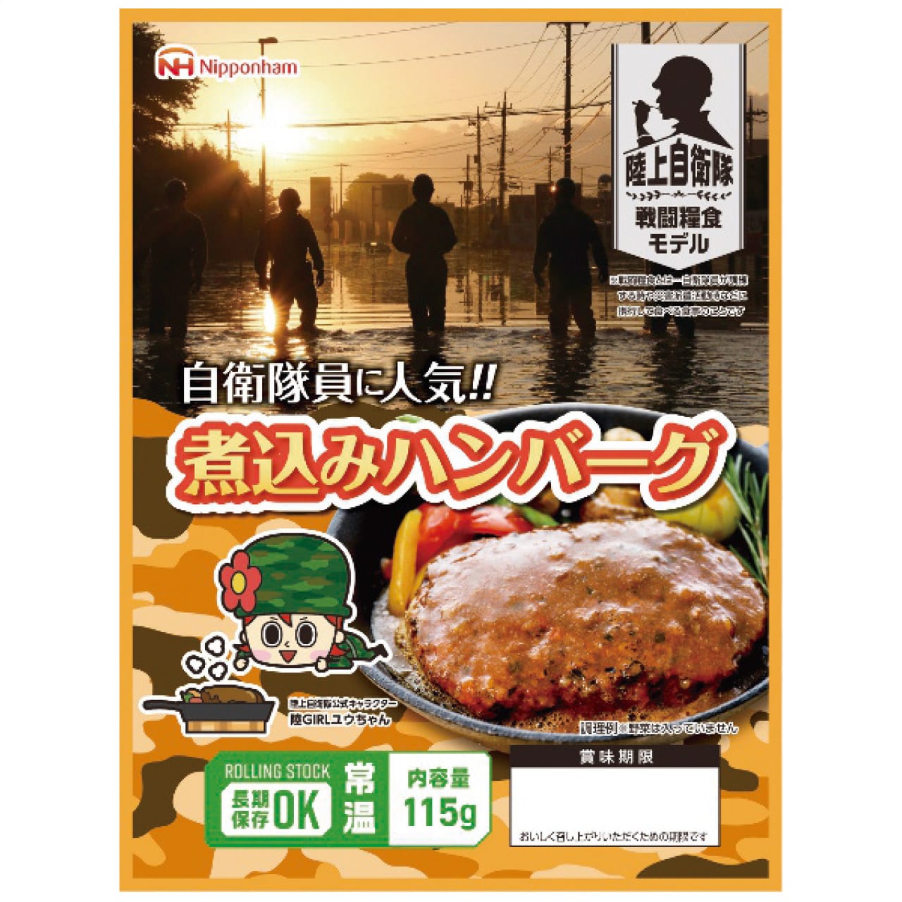 防災食 煮込みハンバーグ 20袋入 日本ハム ギフト プレゼント 贈り物 贈呈 ご褒美 【代引不可】