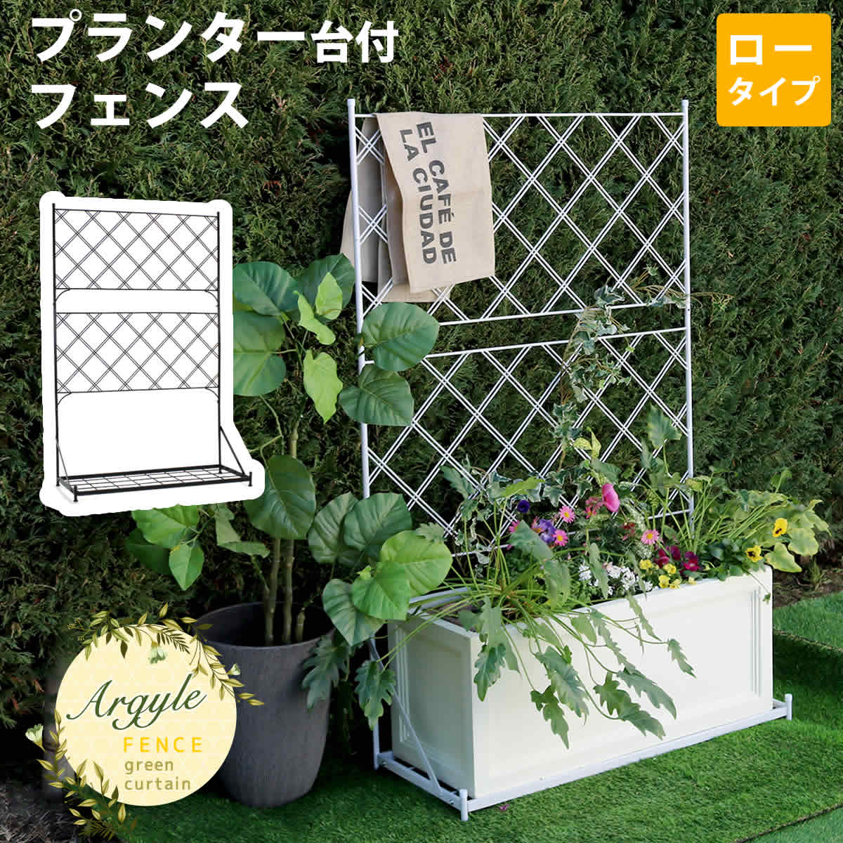 プランター台付フェンス ロータイプ アーガイル  フェンス ゲート 扉 アイアン ガーデンフェンス ガーデニング 枠 柵 仕切り 目隠し 境目 ベランダ つる 薔薇 バラ 朝顔 園芸 ラティス つるバラ 庭 誘引 屋外  【代引不可】[ブラック(BLK)]