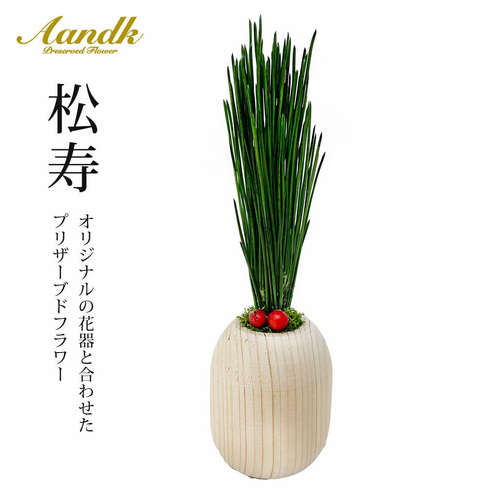 松寿 プリザーブドフラワー 長持ち 松 水やり不要 KDM-003 【代引不可】