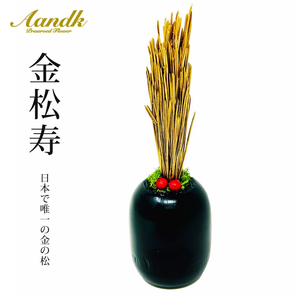 金松寿 プリザーブドフラワー 長持ち 松 水やり不要 KDM-004 【代引不可】